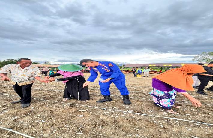 DITPOLAIRUD POLDA PAPUA BARAT BERSAMA PJU LAKSANAKAN PENANAMAN DAN PANEN RAYA JAGUNG 
